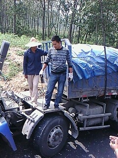 IMG1920A.jpg