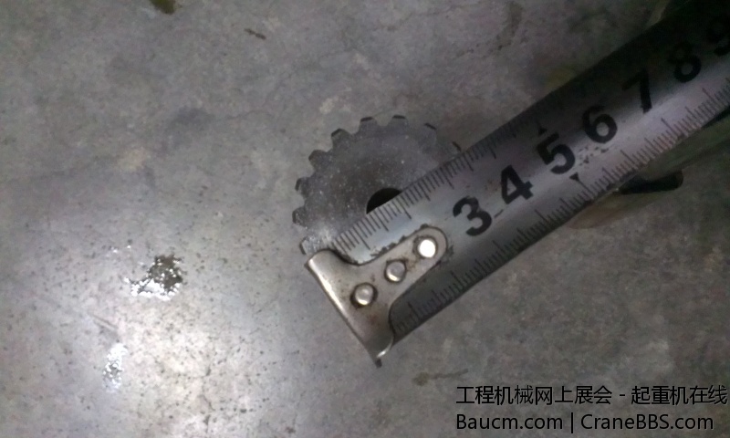 IMAG0825.jpg
