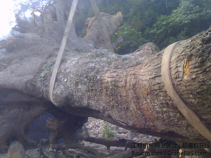 IMG0920070700.jpg