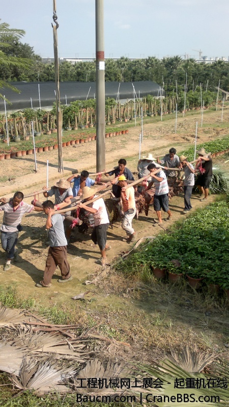 201309201564.jpg