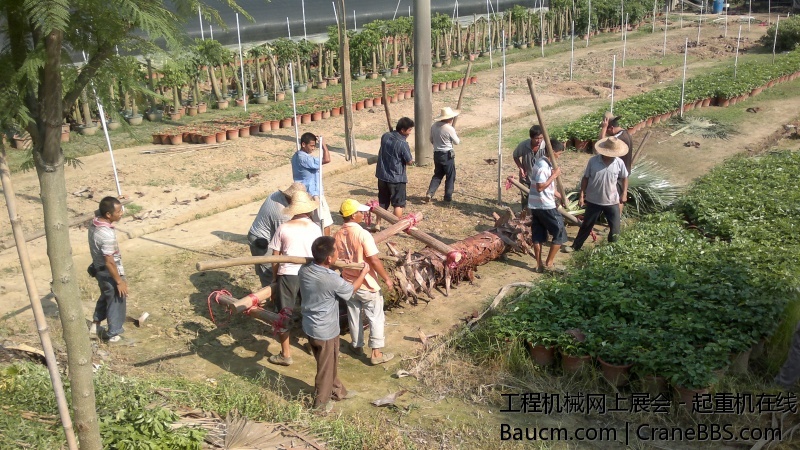 201309201565.jpg