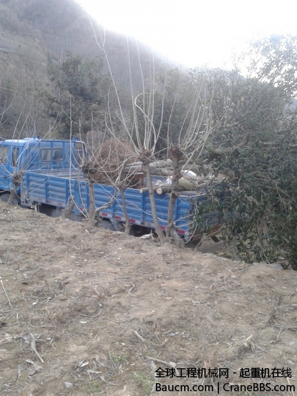 20131209_165953.jpg