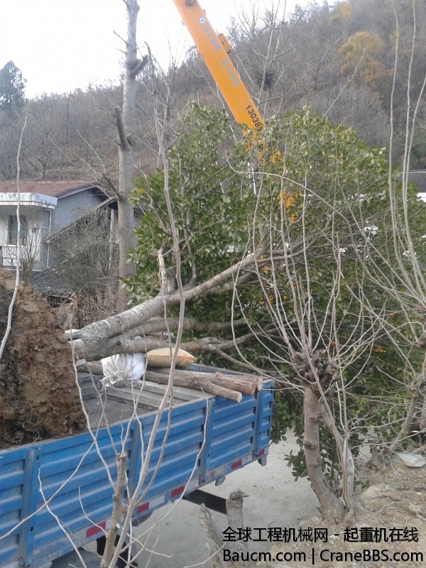 20131209_170009.jpg