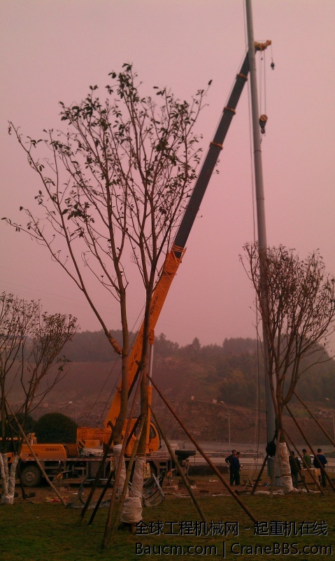IMAG0277.jpg