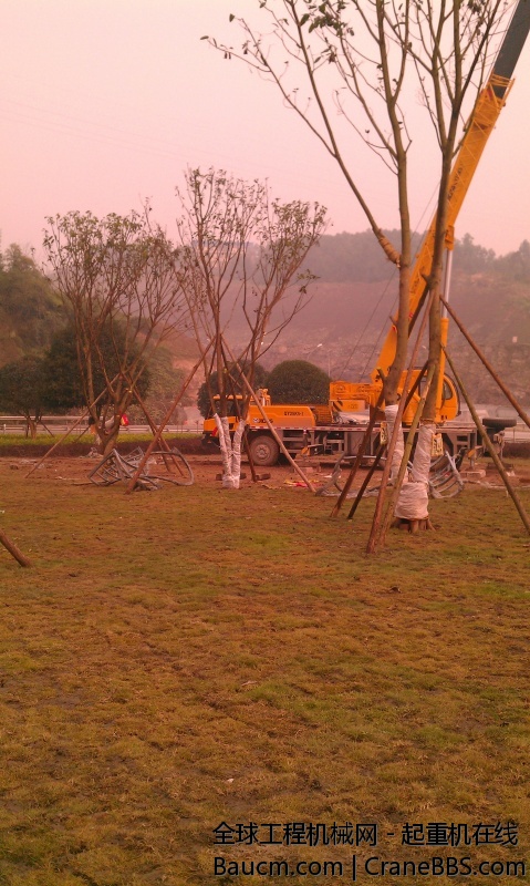 IMAG0278.jpg