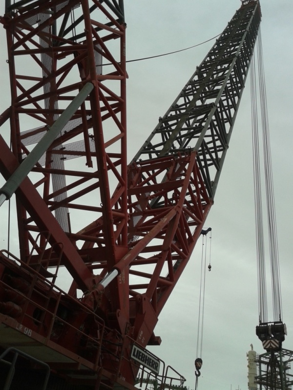 20131215_113308.jpg