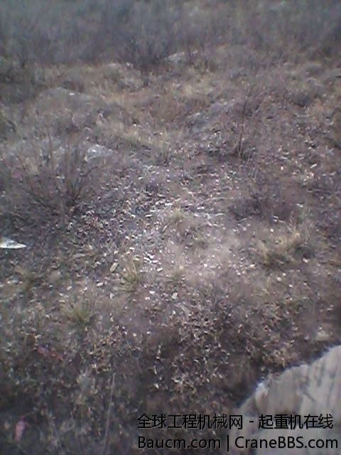 20131225_115929_880687.jpg