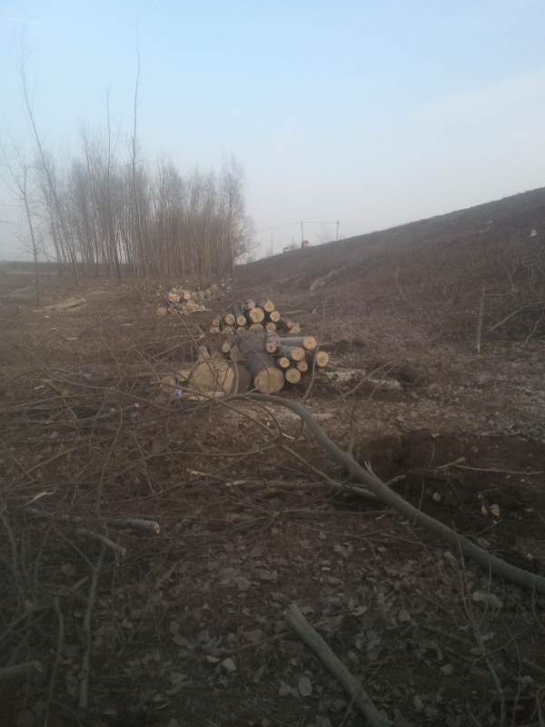 2013-12-31 14.48.28.jpg