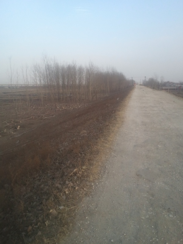 2013-12-31 14.49.20.jpg