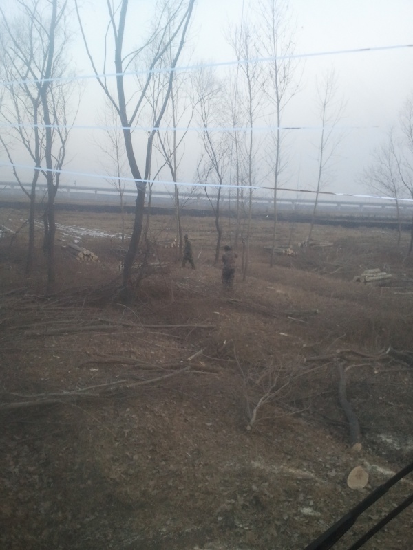 2013-12-31 08.54.21.jpg