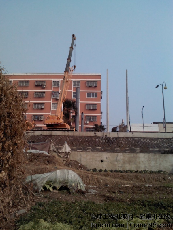 IMG805.jpg