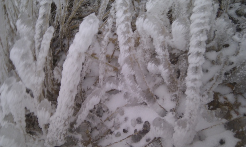 IMAG0208.jpg