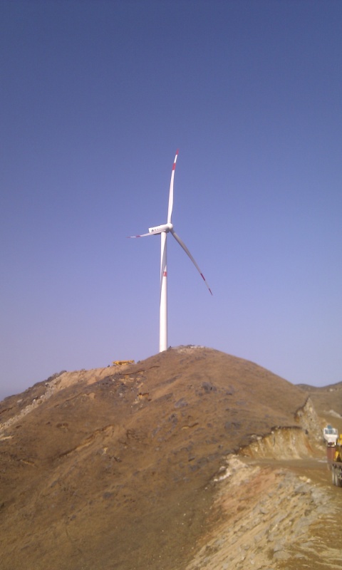 IMAG0224.jpg