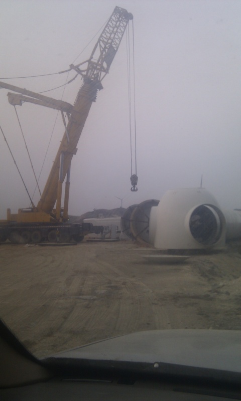 IMAG0246.jpg