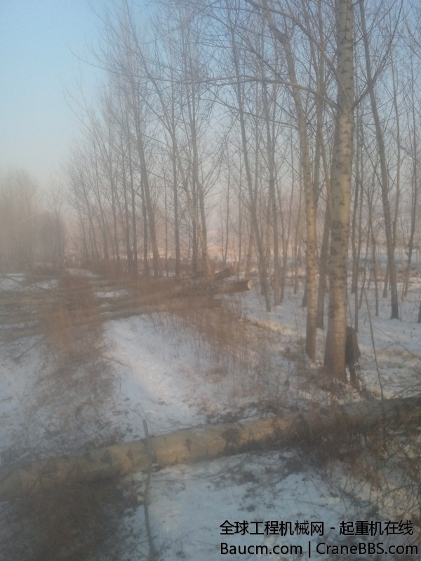 2014-01-22 08.32.44.jpg