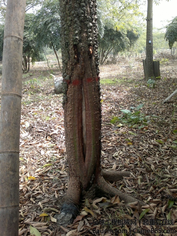 201311061774_1.jpg
