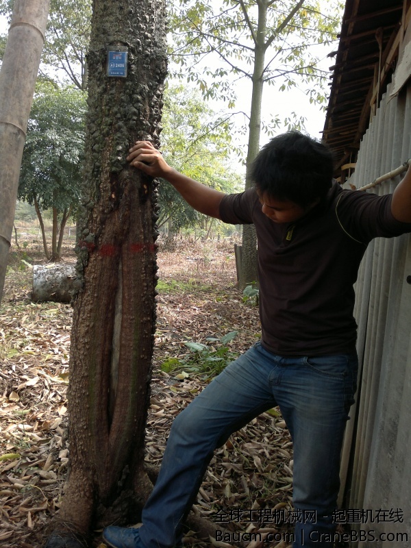 201311061775.jpg