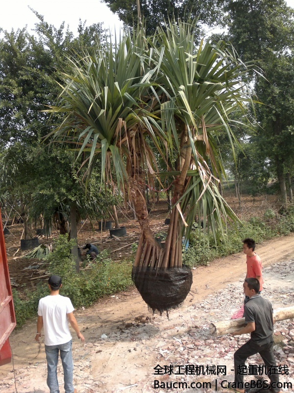 201311091799_1.jpg
