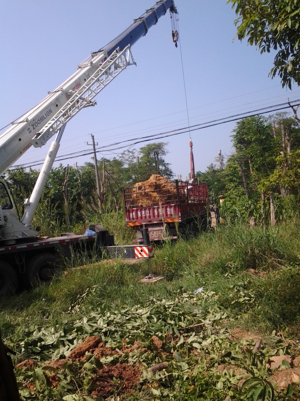 20131023_133703.jpg