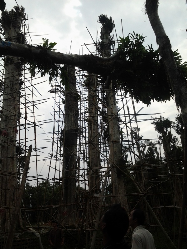 20131024_142234.jpg