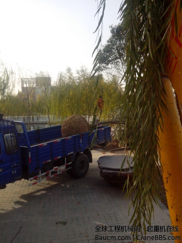 IMG_20131116_152834.jpg