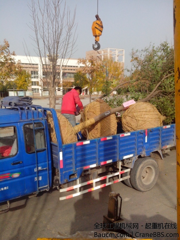 IMG_20131116_144433.jpg