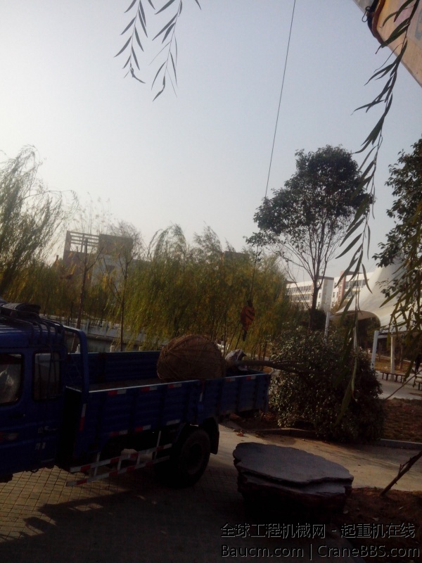 IMG_20131116_152827.jpg