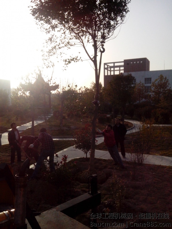 IMG_20131116_160910.jpg
