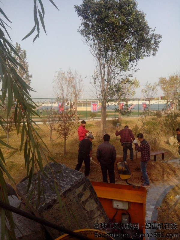 IMG_20131116_152842.jpg