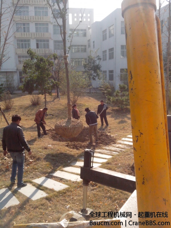 IMG_20131118_134919.jpg