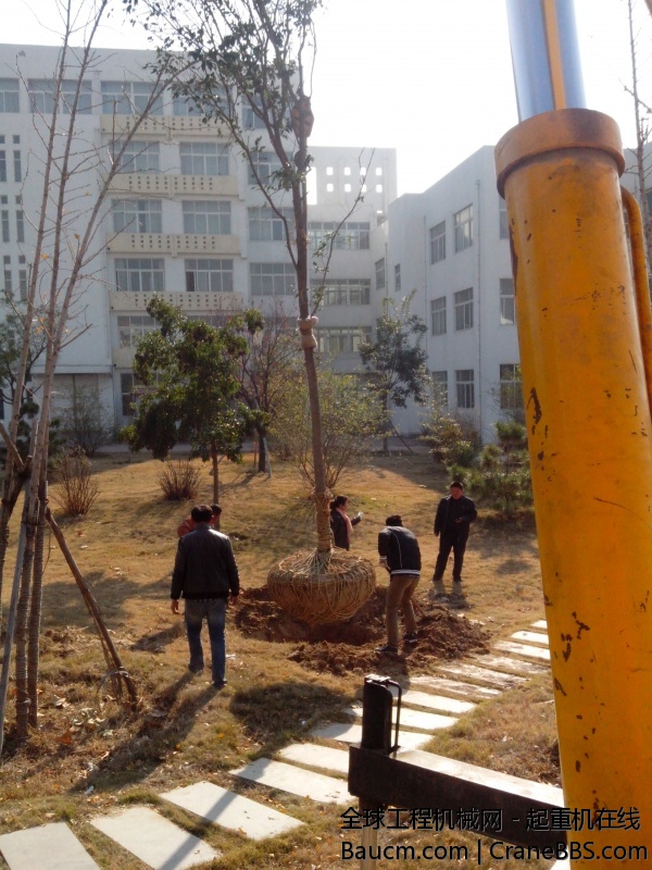 IMG_20131118_134921.jpg