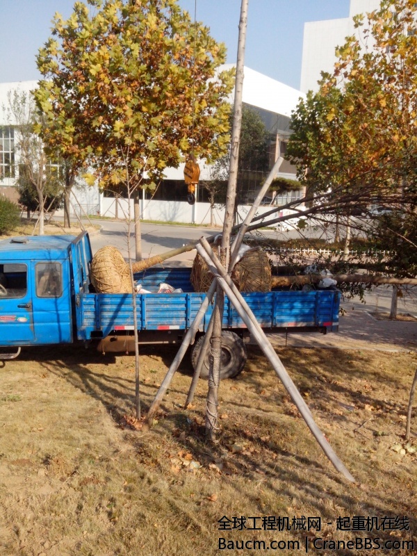 IMG_20131118_135504.jpg