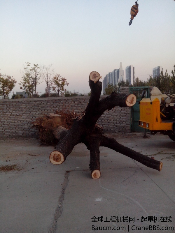 IMG_20131118_165513.jpg