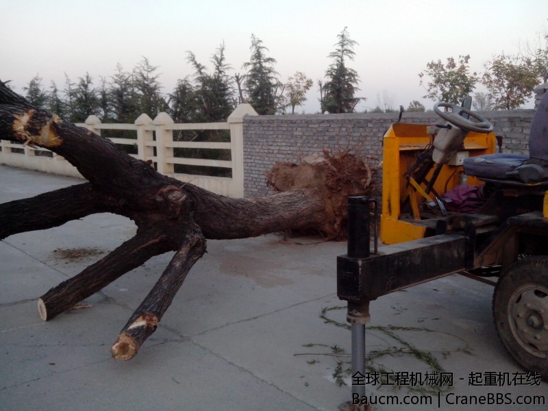 IMG_20131118_165529.jpg