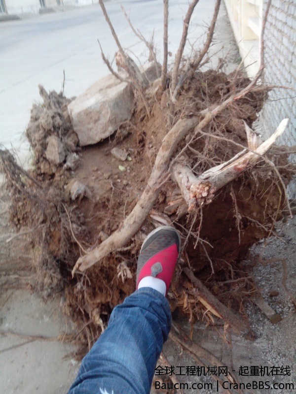 IMG_20131118_170215.jpg