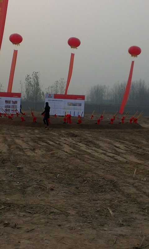 IMAG0510.jpg