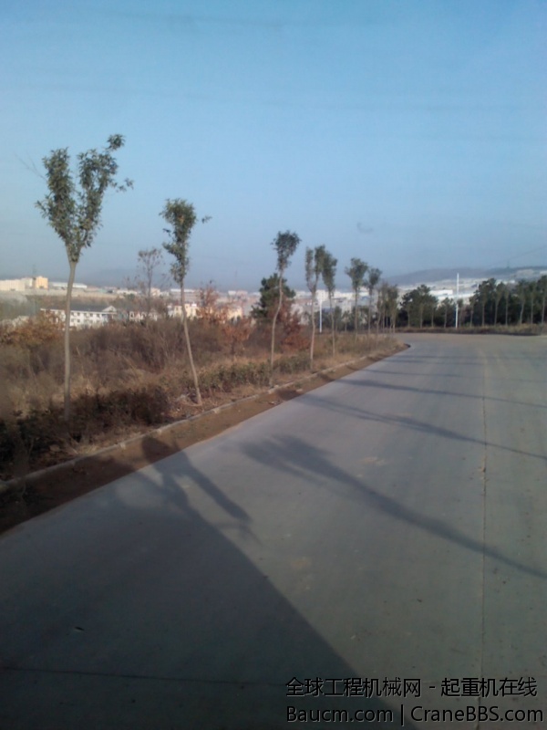 IMG567.jpg