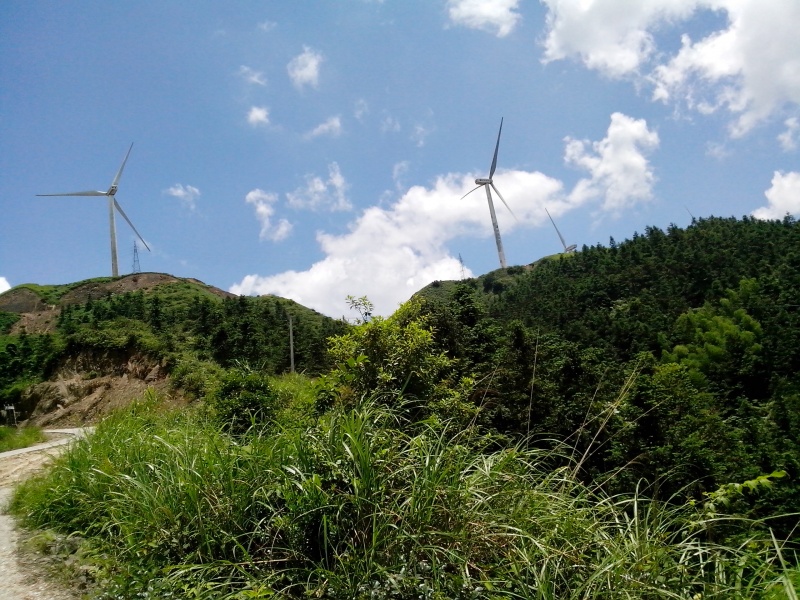 IMG_20130603_130735.jpg