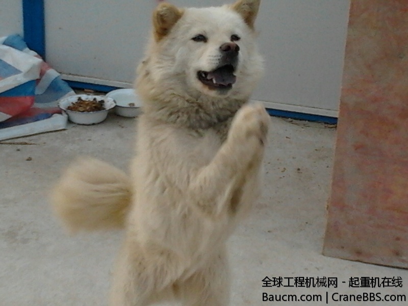 2012-11-19 15.20.42.jpg