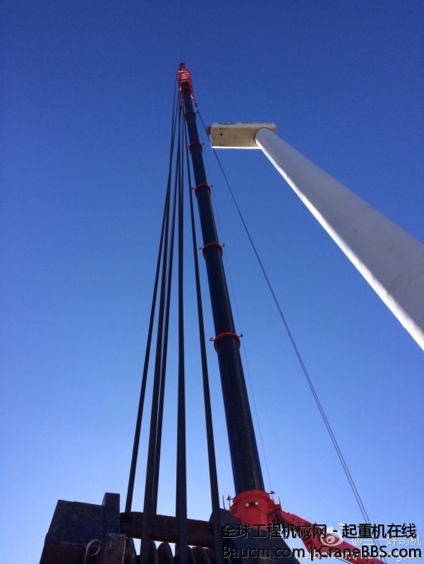 坑爹的天气，刮了六天风。快把人给冻死了。 (10).jpg