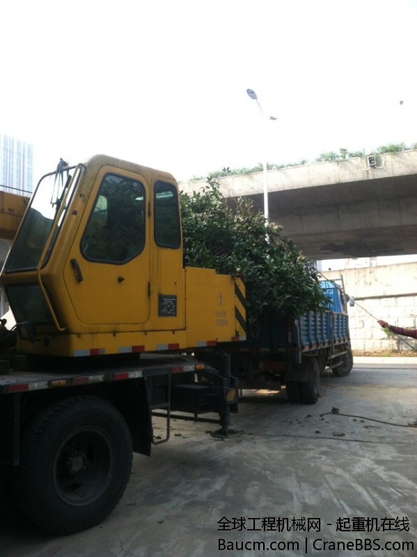 早上装了一车树，还要去卸车，500米。怎么看。