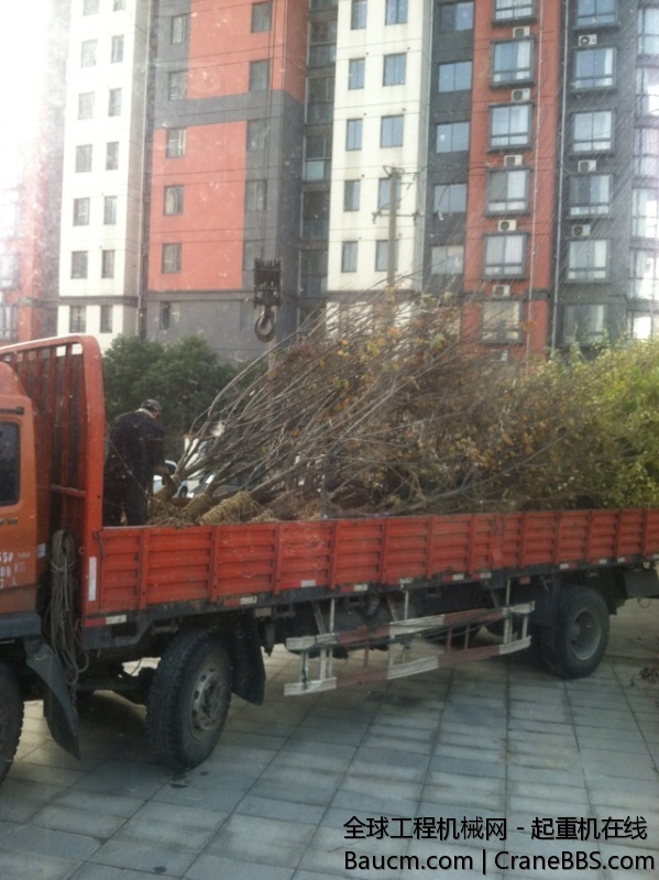 又是树，头疼。