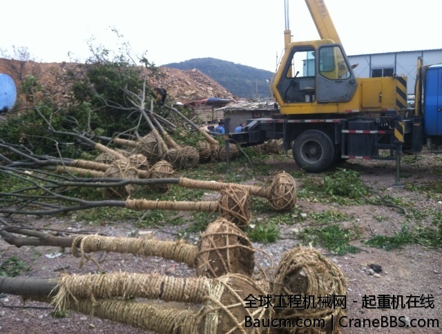 干到下午想骂娘了。