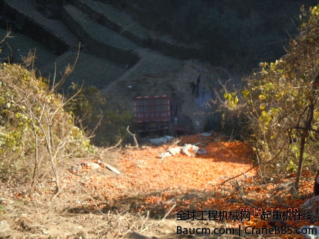 DSCN4936.JPG