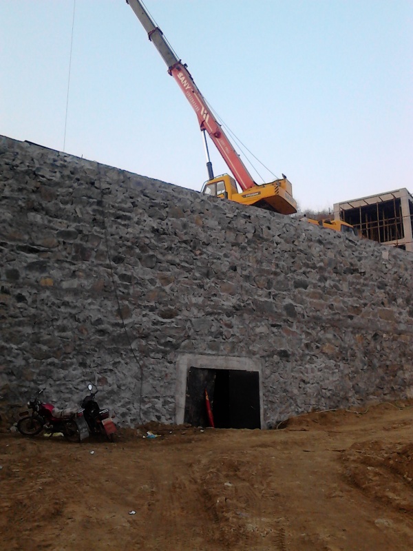 IMG_20131119_073750.jpg