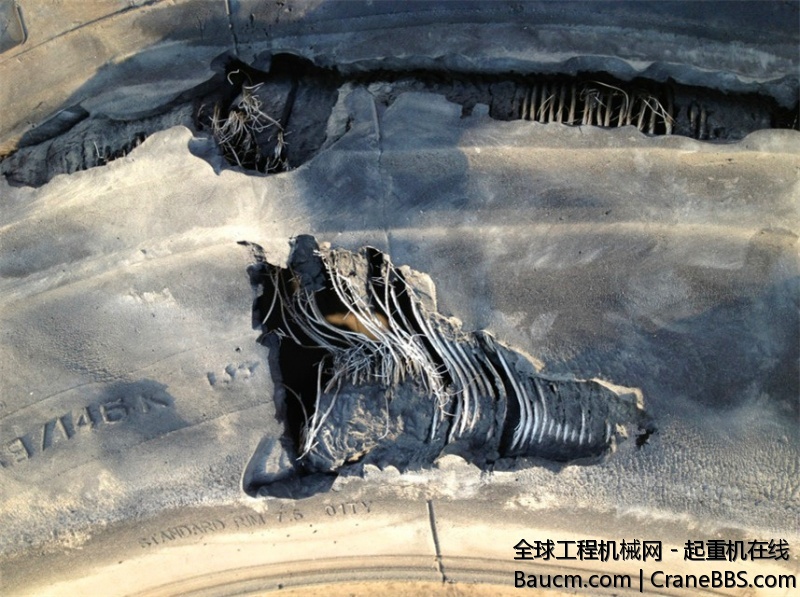 IMG_7825_旋转.jpg
