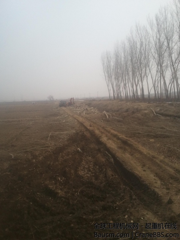 2014-03-26 12.55.39.jpg