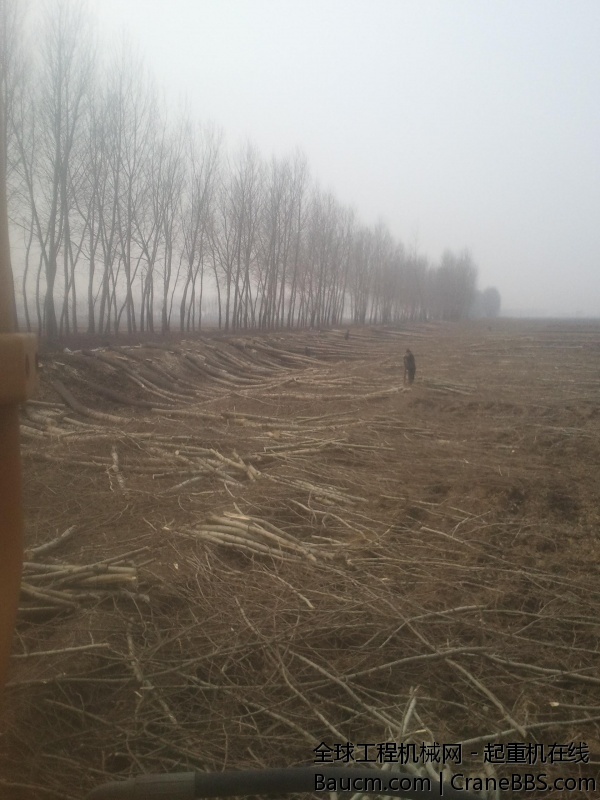 2014-03-26 12.55.54.jpg