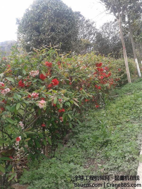 20140402_150346.jpg