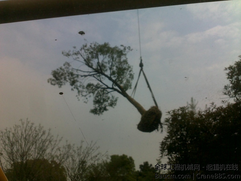 201001012248.jpg